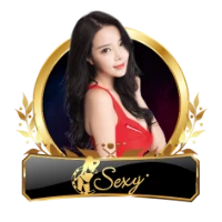 สูตรการเล่นบาคาร่า